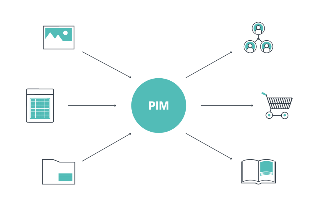 Pim's. Pim. Pim система схема. Ensi Pim. Pim технология.